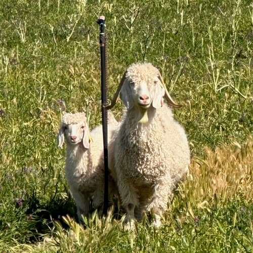 Tell the beautiful, sustainable stories of handcraft